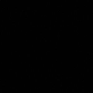 Meet your Posher, Maxim